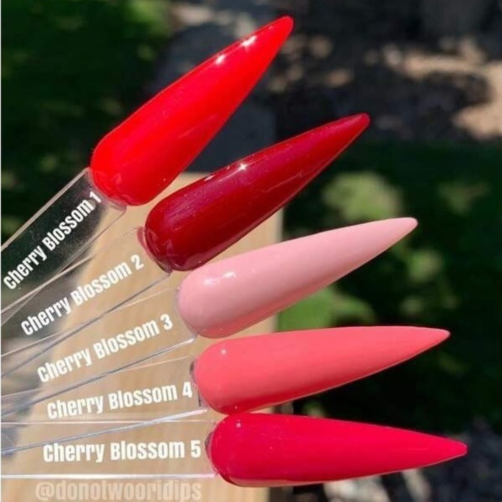 Revel Nail Cherry Blossom Dip Nail Powder Set NEW Unopened